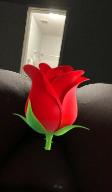 Taylor Weeks exclusive star archive