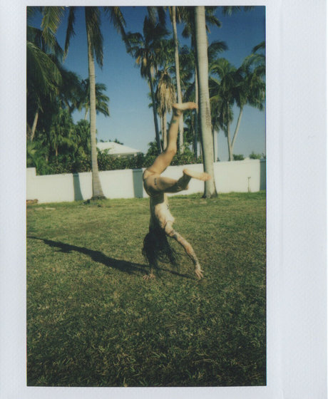 Lavishsuicide star perfect img