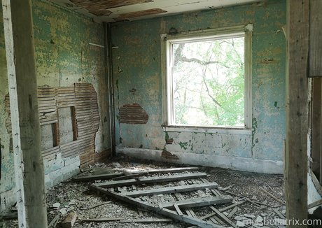 bellatrix star hd archive