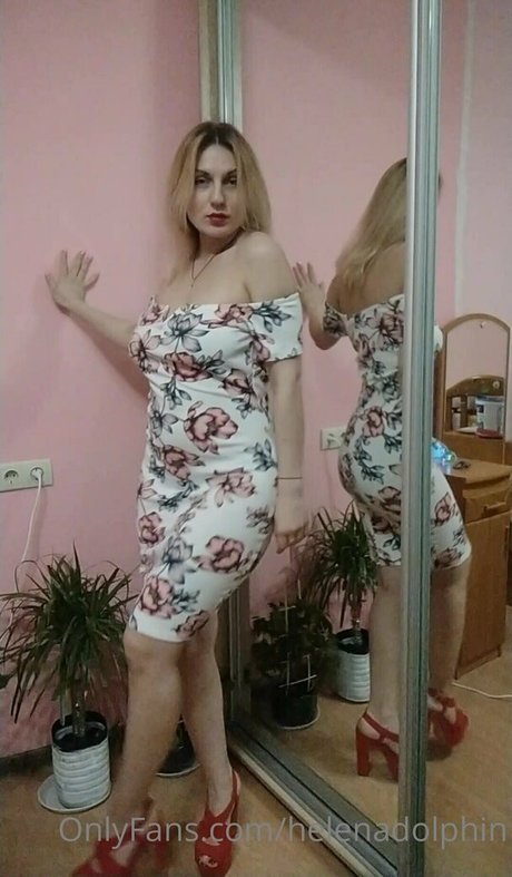 helenadolphin hd star pictures