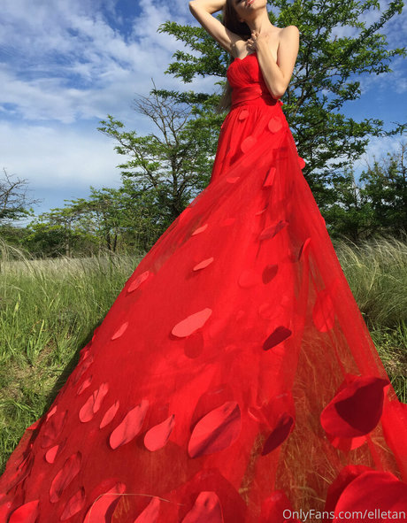 Elle Tan star top images