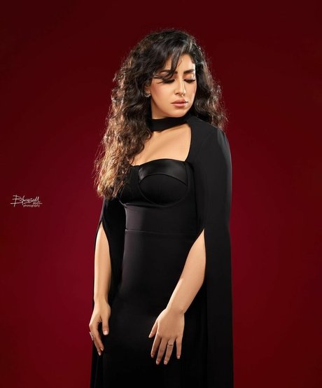 Ayten Amer top actress photo