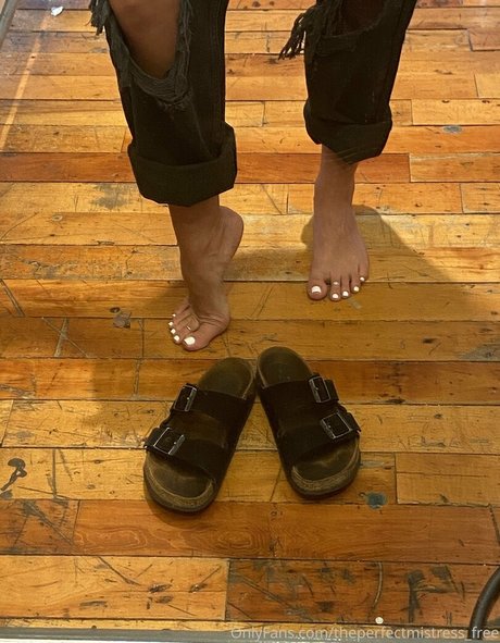 theperfectmistress free pornstar best archive