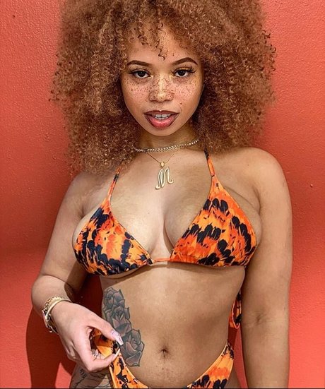 mayaregiii star galleries