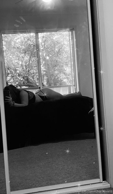 Charli Evans star art archive