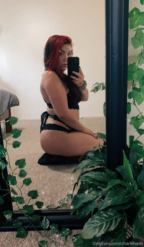 Charli Evans free star picture