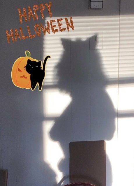 sarahtheslutfree erotic model images