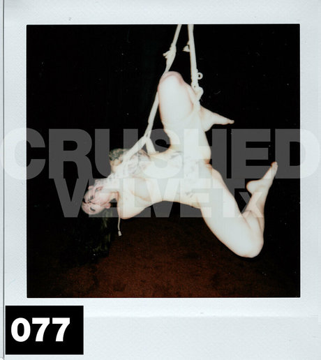 crushedvelvetx exclusive actress img