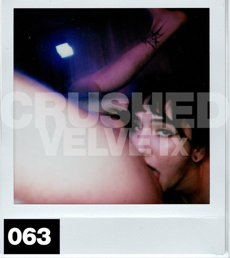 crushedvelvetx star top galleries