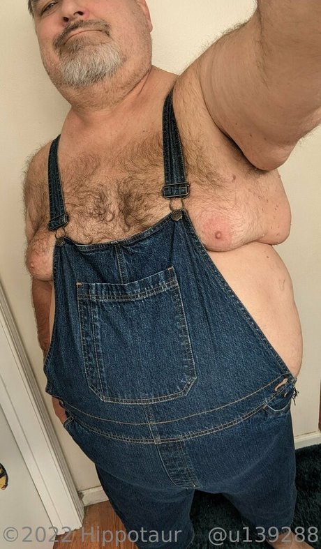 hippotaur top pornstar photo