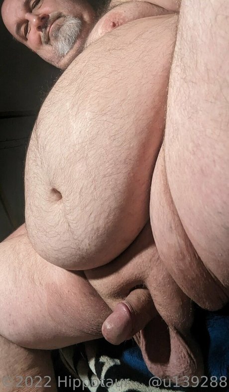 hippotaur star nude photo