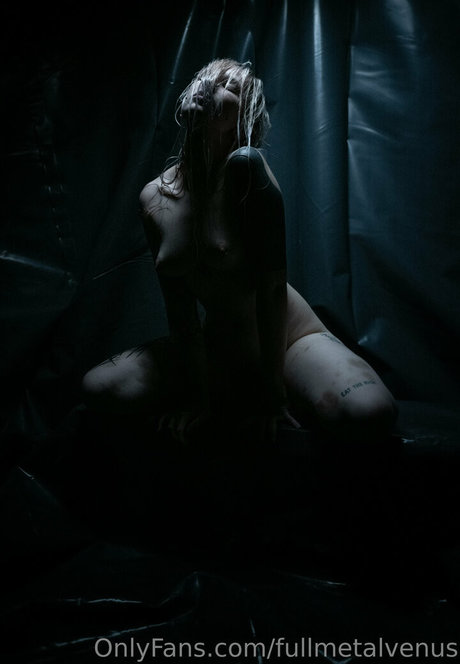 fullmetalvenus nice model gallery