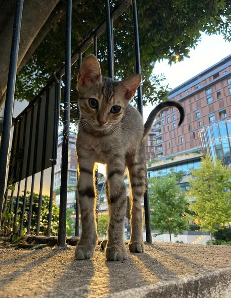 umermaidskiss pretty model photos