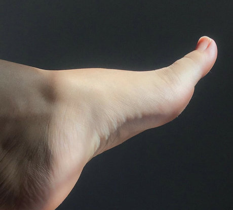 Prii feet high quality model img