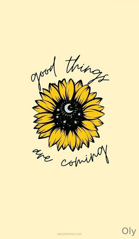 youcancallme oly star hot gallery