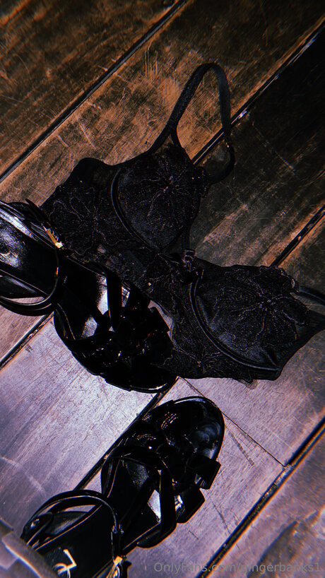 Gingerbanks1 perfect star image