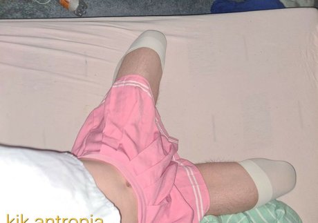 antropia model free img