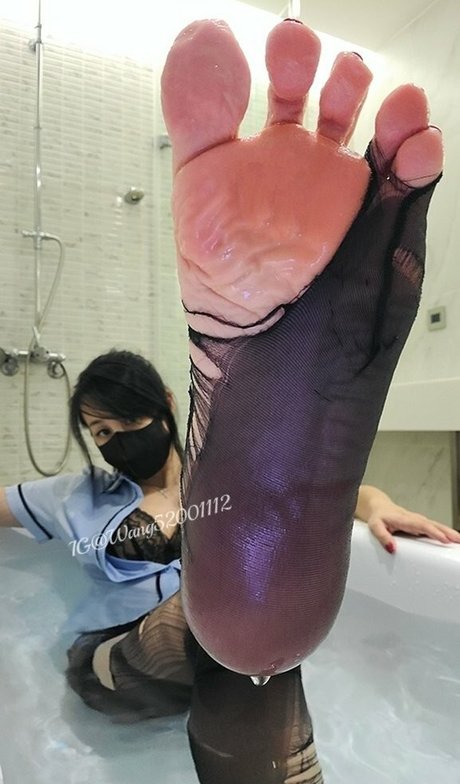 Elsa Wang star pornographic photo