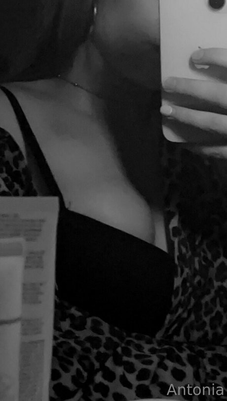 imhotantonia model pretty archive