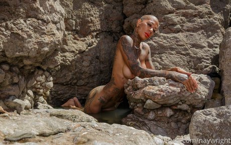 naywright star high quality pictures