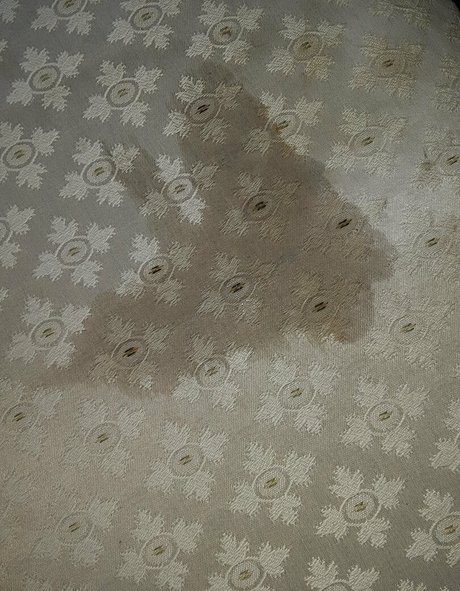 wetnbadmommy art pornstar photos