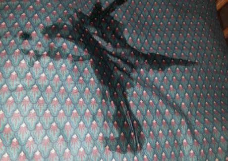 wetnbadmommy pornstar sex pics