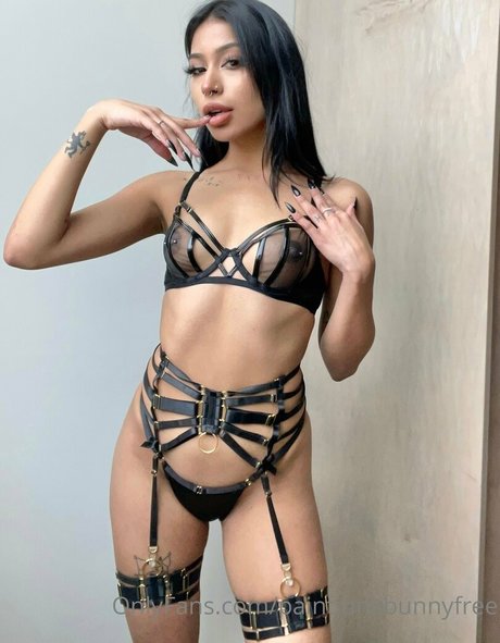 paintjunkbunnyfree free star pics