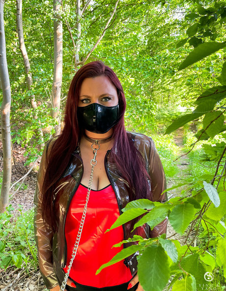 ying yang 2019 beautiful star archive