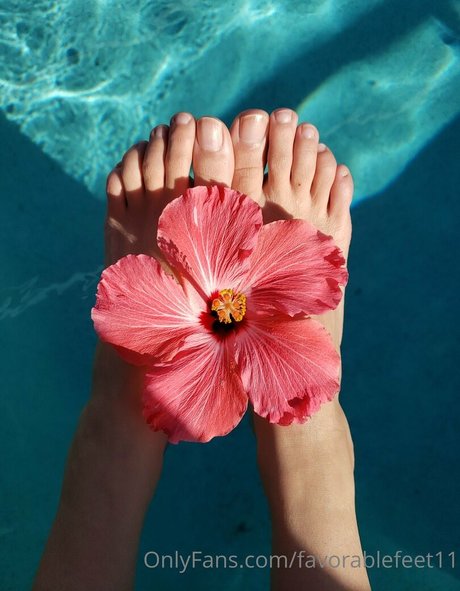 favorablefeet11 art pornstar photo