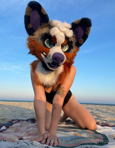 tastymonty xxx actress pics