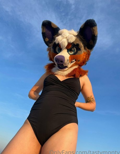 tastymonty star perfect image