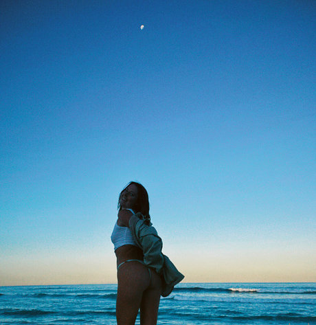 seasharkcensored pornstar adult gallery