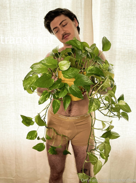 transtrentfree best star images