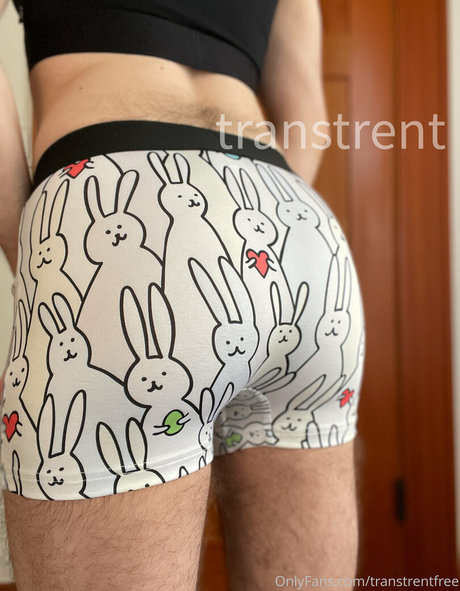 transtrentfree free actress archive