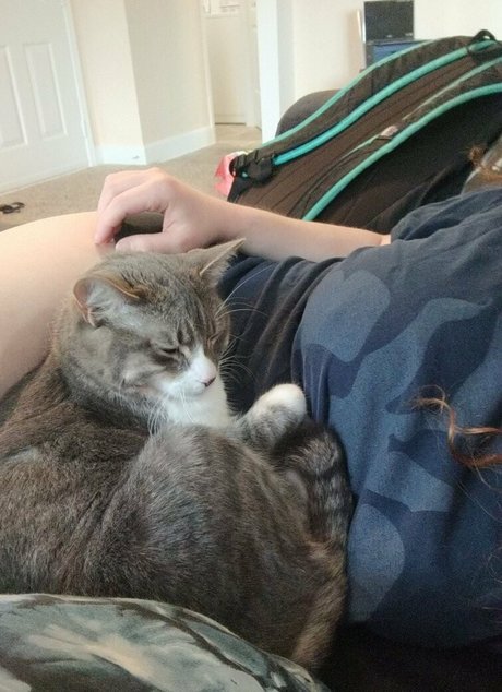 scarletexotic star perfect image