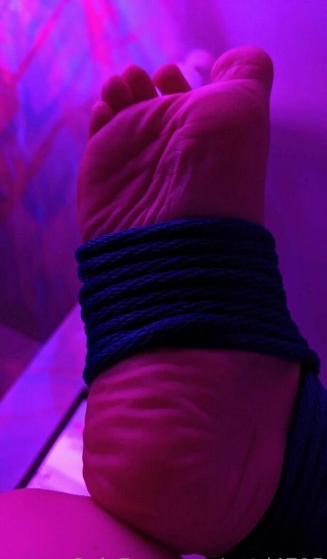 tashad4715 top pornstar pictures