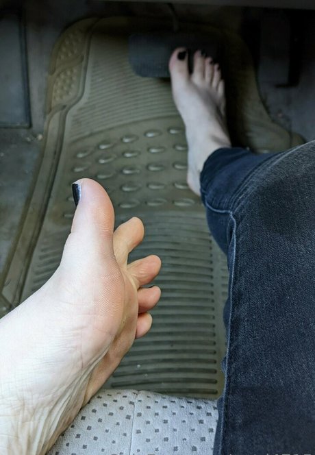 tashad4715 star free galleries