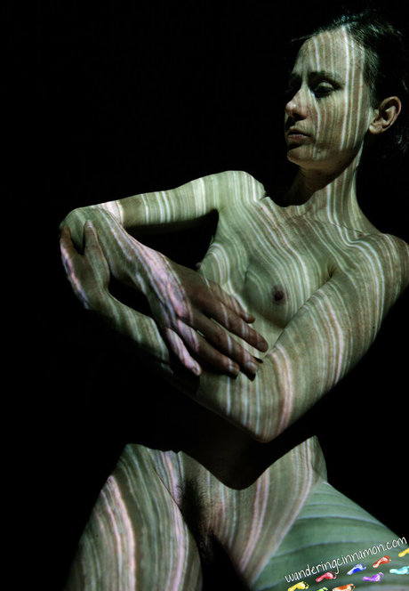 wanderingcinnamon2 star perfect pic