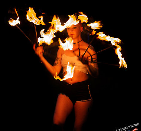 wanderingcinnamon2 model best archive