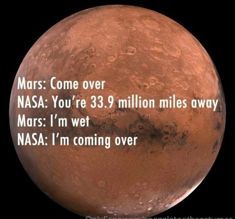 snaggletoothcostumes adult model archive