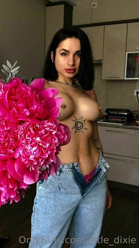 little dixie erotic pornstar img