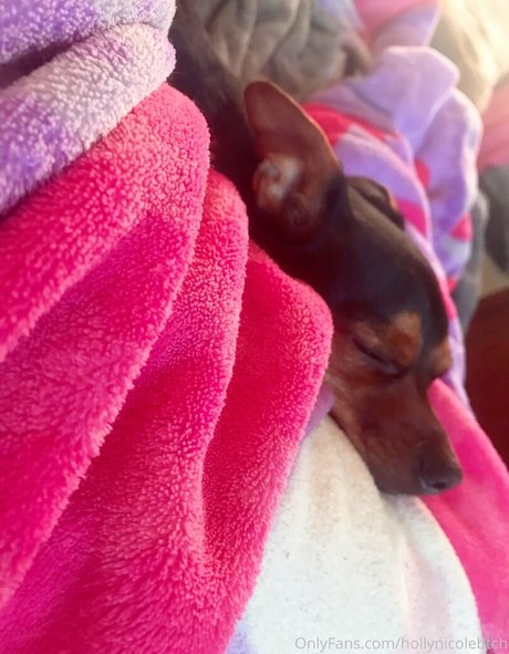 hollynicolebtch pornstar pretty gallery