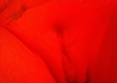 spin the wheel onlyfans beautiful archive