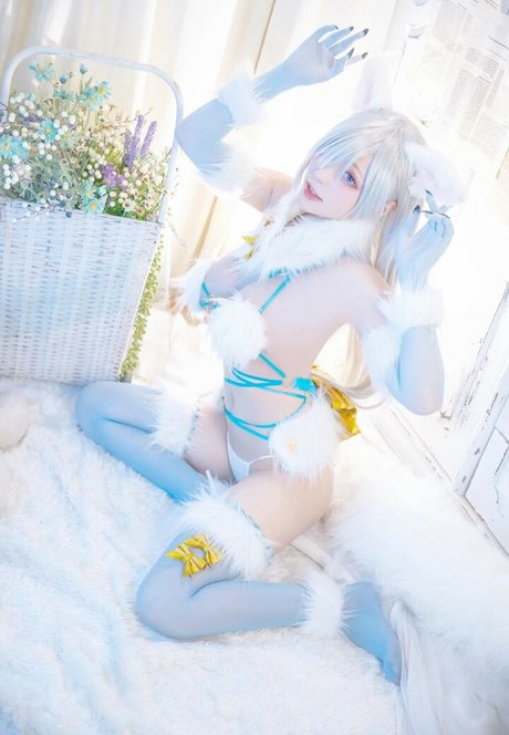 cheese hd star images