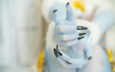 cheese star art photos