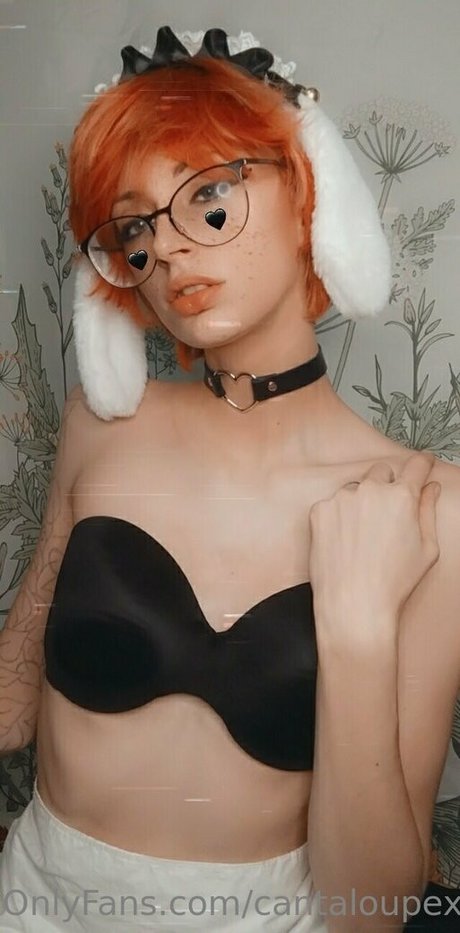 cantaloupexo star art img