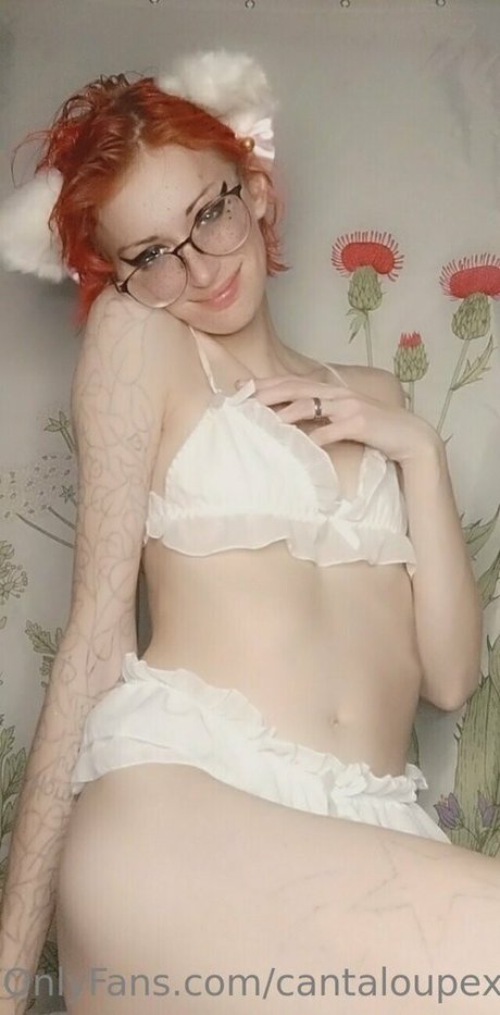 cantaloupexo free pornstar picture