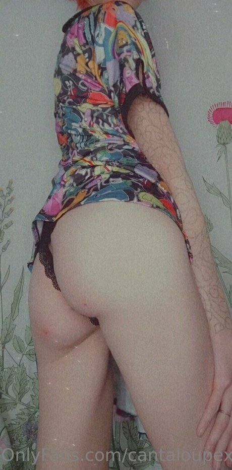 cantaloupexo pornstar perfect archive