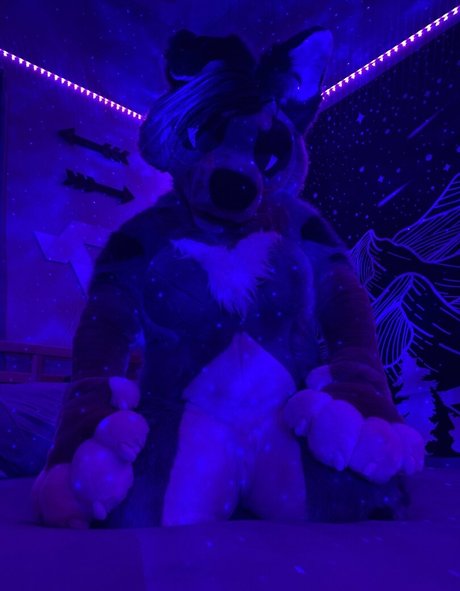 crownmutt pretty pornstar picture