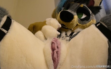 crownmutt model image